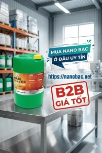 mua nano bạc ở đâu uy tín
