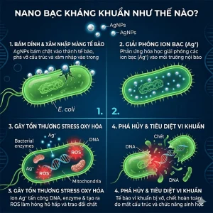 nano bạc kháng khuẩn như thế nào