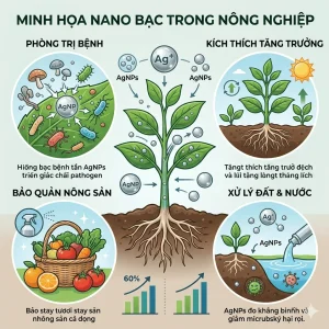 nano bạc trong nông nghiệp