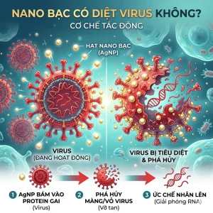 nano bạc có diệt virus không