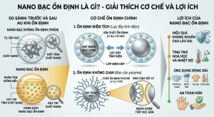 nano bạc ổn định là gì