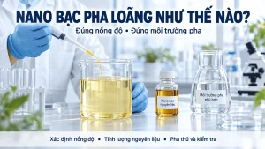 nano bạc pha loãng như thế nào