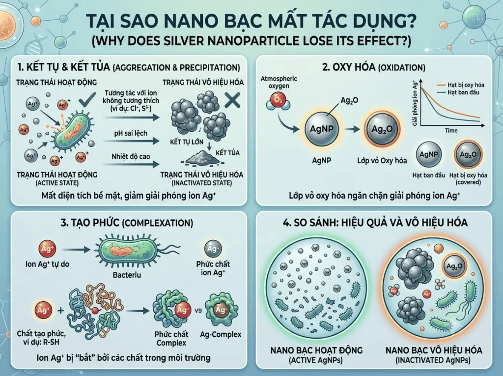 vì sao nano bạc mất tác dụng